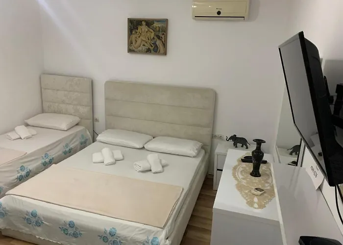 公寓 In Berat's Center