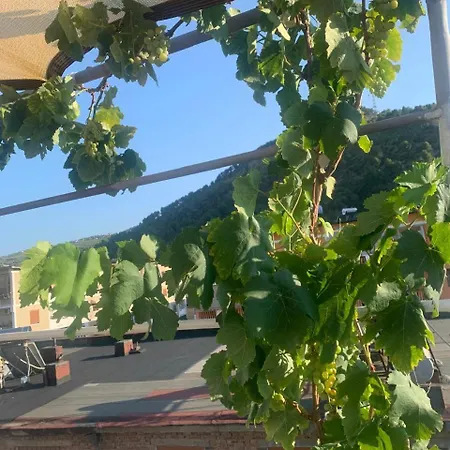 In Berat's Center Апартаменты *